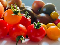 Fresh picked home grown Husky Cherry Red Tomato and Sun Sugar Yellow Cherry Tomato, Black Prince Heirloom Tomato. Original public domain image from Flickr