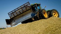 Beginning Farmer Aaron Belcher owns and operates Aaron Belcher Farms LLC in Melrose, NM, where he grows corn for silage.(USDA/FPAC photos by Preston Keres)