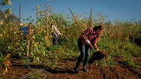 Peopleâs Gardens, like Project Feed the Hood in Albuquerque, NM, empower communities to participate in local food production and provide diversity and resiliency to the food supply chain. They also teach about the benefits of sustainable, local agriculture and how gardening can foster community collaboration, provide green gathering spaces, and benefit the environment. Project Feed the Hood is a food literacy and food justice initiative by the SouthWest Organizing Project that aims to improve community health through education and the revival of traditional growing methods.