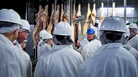 USDA Agricultural Marketing Service Livestock & Poultry Programs Training Coordinator Jodie Pitcock (blue helmet) trains Agricultural Commodity Graders (Red Meat) and Market News Reporters during a visit to Caviness Meat Packing, Hereford, Texas, Sept. 23, 2022.(USDA/FPAC photos by Preston Keres)