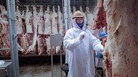 USDA Agricultural Marketing Service (AMS)Â Commodity Graders (Red Meat) at work at Cargill Meat Solutions, Friona, Texas, Sept. 20, 2022.(USDA/FPAC photos by Preston Keres)