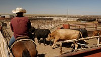 USDA Agricultural Marketing Service Livestock & Poultry Programs Training.