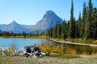 Tree stump with mountains across Pray Lake.