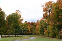 Fall Foliage Memorial Park, autumn trees.