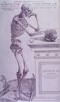 Bone PlateCollection:Images from the History of Medicine (IHM) Format:Still image Subject(s):Bone and Bones Genre(s):Book Illustrations Abstract:Full-length, side view of a skeleton, contemplating a skull. Related Title(s):Is part of: De humani corporis fabrica, p. 164 (Liber I).; See related catalog record: 2295009R Extent:1 print Technique:woodcut NLM Unique ID:101437487 NLM Image ID:A026932 Permanent Link:resource.nlm.nih.gov/101437487