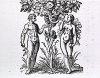 Adam and Eve FiguresCollection:Images from the History of Medicine (IHM) Author(s):Rueff, Jakob, ca.1500-1558, Author Publication:Francoforti ad Moenum: [Sigismundi Feyerabendi,] , 1580 Format:Still image Genre(s):Book Illustrations Abstract:Two human figures with a skeleton as a fruit tree between them; a serpent wrapped around the limbs offers a piece of fruit to the woman. Related Title(s):Is part of: De conceptu et generatione hominis, l. 1 recto.; See related catalog record: 2283036R Extent:1 print Technique:woodcut NLM Unique ID:101436150 NLM Image ID:A013189 Permanent Link:resource.nlm.nih.gov/101436150