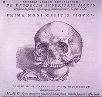 Bone PlateCollection:Images from the History of Medicine (IHM) Format:Still image Subject(s):Bone and Bones Genre(s):Book Illustrations Abstract:Front view of the skull with the jawbone removed, contrasted to an animal skull.  Related Title(s):Is part of: De humani corporis fabrica, p. 36 (Liber I).; See related catalog record: 2295009R Extent:1 print Technique:woodcut NLM Unique ID:101437406NLM Image ID:A026911 Permanent Link:resource.nlm.nih.gov/101437406