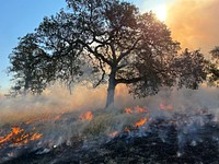 Prescribed fire near Sacramento River Bend Area.