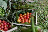 Fresh tomatoes, farmer market.