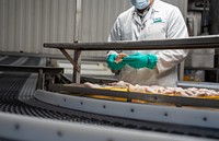 U.S. Department of Agriculture, Agricultural Marketing Service, Poultry grading facility in Athens, GA on September 22, 2022. USDA photo by Rene Carranza  