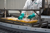 U.S. Department of Agriculture, Agricultural Marketing Service, Poultry grading facility in Athens, GA on September 22, 2022. USDA photo by Rene Carranza  