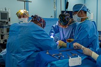 PUERTO PRINCESA, Philippines (Aug. 13, 2022) – Pacific Partnership 2022 (PP22) medical professionals perform a hernia repair on a patient aboard Military Sealift Command hospital ship USNS Mercy (T-AH 19) during PP22. Now in its 17th year, Pacific Partnership is the largest annual multinational humanitarian assistance and disaster relief preparedness mission conducted in the Indo-Pacific. (U.S. Navy photo by Mass Communication Specialist 2nd Class Jacob Woitzel)