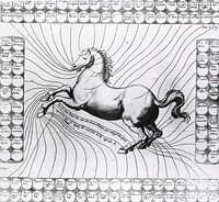 Disease Chart of the Horse with Points of External and Internal Diseases Marked_nlmuid-101434369-imgCollection:Images from the History of Medicine (IHM) Author(s):Solleysel, Jacques de, 1617-1680, author Publication:Paris: Pierre Aubouyn & Charles Clousier, 1706 Language(s):French Format:Still image Subject(s):Horses Genre(s):Book Illustrations Abstract:Full length, left side view of a horse with front feet raised off the ground; circles with disease names in them form a border on all sides; lines drawn from horse to circle indicate location and type of disease to which the horse is susceptible. Related Title(s):Is part of: Le parfait mareschal ..., part I, p.1.; See related catalog record: 8508895 Extent:1 print Technique:engraving NLM Unique ID:101434369 NLM Image ID:A012562 Permanent Link:resource.nlm.nih.gov/101434369