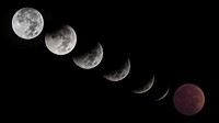 Phases of the lunar eclipse on Nov. 8, 2022.