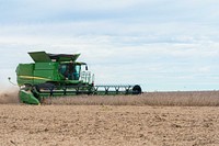 Mike Starkey Soybean HarvestMike Starkey harvests soybeans on a 135-acre field in Brownsburg, Indiana Sept. 23, 2022. Starkey practices no-till farming, plants cover crops in between cash crop season and rotates his fields between corn and soybeans as part of a soil health management system. (NRCS photo by Brandon O’Connor)