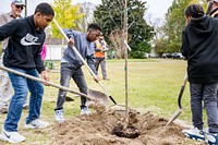 Students planting trees in West Greenville for Community Tree Day on Thursday, November 10. Original public domain image from Flickr