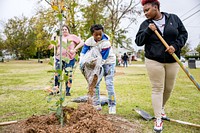 Community Tree Day 2022Students from the Boys & Girls Club Lucille Gorham Unit along with ReLEAF members and City staff planted 44 trees on two City-owned lots in West Greenville for Community Tree Day on Thursday, November 10. The trees planted include White Oak, Redbud, and Ginko.