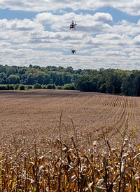 Scully farm cover crop seedingCover crops are aerially seeded over corn at Scully Family Farms in Spencer, Indiana Sept. 29, 2022. The cover crops mix includes cereal rye, crimson clover and rapeseed and was spread over 160 acres of no-till farmland that will be planted with soybeans in the spring. (NRCS photo by Brandon O’Connor)