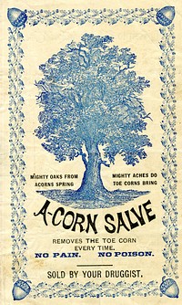 A-Corn Salve Removes the Toe Corn Every Time: No Pain, No PoisonCollection:Images from the History of Medicine (IHM) Contributor(s):Giant Chemical Co., issuing body. Publication:[Philadelphia] : [Giant Chemical Co.] , [between 1870 and 1900] Language(s):English Format:Still image Subject(s):Nonprescription Drugs,Callosities -- drug therapy Genre(s):Advertisements Abstract:Advertisement for A-Corn Salve. The recto features an illustration of an oak tree. Framing the recto are vines, and in each corner is an acorn with the words "trade mark." The card opens to a spread. On the left side of the spread is a poem titled, "Listen to this wail of toe," about a woman suffering from a painful corn, and how A-corn Salve quickly "slew" her corn. On the right side of the spread is a narrative about corns from a school boy's perspective, describing different kinds of corns - the toe-corn being the worst. The verso lists 7 testimonials about the effectiveness of the product. Extent:1 trade card : 15 x 9 cm Technique:chromolithograph, color NLM Unique ID:101703226 (See catalog record) Permanent Link:resource.nlm.nih.gov/101703226 