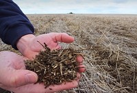 Careful attention during planting and adjustments to equipment makes a difference for a successful seeding in a no-till cropping system.