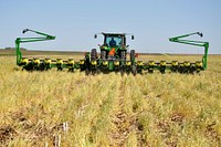 Using a no-till planter, north-central Iowa farmer, Tim Smith, plants soybeans into a terminated cereal rye cover crop. Using a combination of no-till planting and cover crops keeps living roots in the ground throughout much of the year and minimizes soil disturbance, all of which dramatically reduces erosion and improves soil health. USDA-NRCS photo by Jason Johnson.