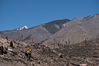 A pair of Resource Advisors from the Coconino National Forest record data in Division Alpha as they work to determine the severity of Tunnel Fires impact on the Forest. April 21, 2022. The east side of the San Francisco Peaks show the effects of the 2010 Schultz Fire.