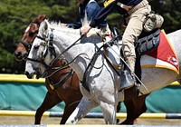 The 11th Armored Cavalry Regiment Horse Detachment demonstrate their horseback riding skills during the Defense Language Institute Foreign Language Center's Language Day at the Presidio of Monterey, Calif.