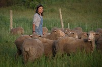 Dominique Herman leads a flock of Corriedale Merino cross and Ike-de-France Merino cross to pasture for morning grazing on her farm in Warwick, New York.(USDA/FPAC photo by Preston Keres)