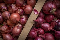 Red onion, freshly picked vegetables.