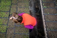 Farmer planting seed.