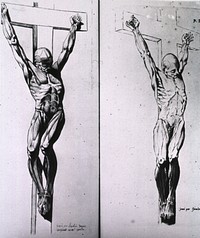Musculature of the human bodyCollection: Images from the History of Medicine (IHM) Author(s): Gamelin, Jacques, 1739-1803, author Publication: Toulouse: J.F. Desclassan, 1779 Language(s): French Format: Still image Subject(s): Anatomy, ArtisticAnatomy Genre(s): Book Illustrations Abstract: Two views of a male figure with musculature defined; visual motif: crucifixion. Related Title(s): Is part of: Nouveau recueil d'osteologie et de myologie, v. 2, Pl. [1] & 29.; See related catalog record: 2671311R Extent: 1 print Technique: etching NLM Unique ID: 101436051 NLM Image ID: A016433 Permanent Link: resource.nlm.nih.gov/101436051