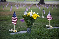 American Flags at Cemetery, Memorial Day.