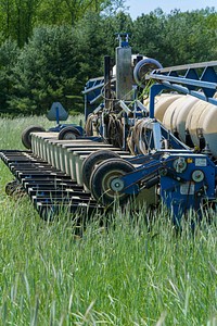 Planting field corn into a stand of cover crop.