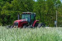 Steve Worland plants field corn into a stand of cover crop in Freedom, Indiana May 12, 2022. Worland no-till farms 700 acres and planted a diverse cover crop mix that included radish, crimson clover, turnips and cereal rye before planting green into them. (NRCS photo by Brandon O’Connor)