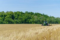 Steve Fox plants field corn into a stand of cereal rye in Freedom, Indiana May 12, 2022. Fox farms 400 acres and planted about 200 of them in cover crops prior to the 2022 planting season. (NRCS photos by Brandon O’Connor)