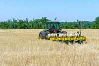 Steve Fox plants field corn into a stand of cereal rye in Freedom, Indiana May 12, 2022. Fox farms 400 acres and planted about 200 of them in cover crops prior to the 2022 planting season. (NRCS photos by Brandon O’Connor)