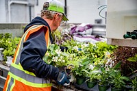 City of Greenville Public Works refreshes and maintains planters across the Uptown area on Wednesday, May 25. Original public domain image from Flickr