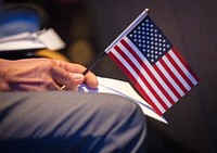 Hand holding American flag