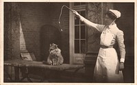 Nurse and a cat, Images from the History of Medicine (IHM)  