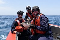 (Left to right) U.S. Coast Guard Petty Officer 3rd Class Dylan Neathery, Senegalese Navy Lt. Papa Ousmane Sylla, and U.S. Coast Guard Petty Officer 2nd Class Caitlyn Mason pose for a photo after rescuing a sea turtle caught in a fishing net in the Atlantic Ocean, July 14, 2022. USCGC Mohawk is on a scheduled deployment in the U.S. Naval Forces Africa area of operations, employed by U.S. Sixth Fleet to defend U.S., allied, and partner interests. (U.S. Coast Guard photo by Petty Officer 3rd Class Jessica Fontenette)