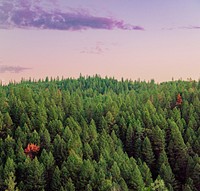 The South Yuba Wild & Scenic River Recreation Area.