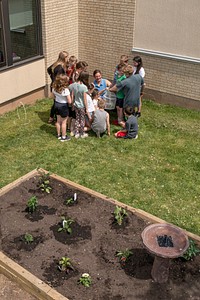 Students from the Royalton-Hartland School District's elementary school in Gasport, NY, on May 26, 2022. Students are taught basic gardening, soil conservation with worms, planting a pollinator garden, and raising butterflies to be set free at the garden. Royalton-Hartland School District, comprised of an elementary, middle, and high school, has approximately 1,300 K-12 students in Middleport, NY, which is a remote, rural part of eastern Niagara County. Royalton-Hartland School District received a FY 2021 Farm to School Implementation grant to provide engaging, hands-on programming that promotes a healthy lifestyle; increases student knowledge of how to grow, prepare, and store fresh produce; and exposes students to the multitude of career opportunities in the growing local agriculture industry. In collaboration with district partners, including Cornell Cooperative Extension of Niagara County, Blackman Family Farms, and the Royalton-Hartland Agriculture Foundation, Royalton-Hartland School District is in the process of developing a K-12 curriculum, engaging teachers in the integration of the farm to school vision on a district-wide basis, equipping kitchen facilities to increase the capacity to store, prepare and serve locally sourced foods, and upgrading classrooms for project-based learning experiences. USDA Media by Lance Cheung.