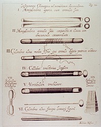 Instrumenta Chirurgica ad extractionem dracunculorum =: Surgical Instruments for the Extraction of DragonfliesCollection:Images from the History of Medicine (IHM) Author(s):Welsch, Georg Hieronymus, 1624-1677, author Contributor(s):Haffner, Melany, artist Publication:Augustae Vindelicorum: Theophili Goebelii, 1674 Language(s):Latin Format:Still image Subject(s):Surgical Instruments Genre(s):Book Illustrations Abstract:Various instruments used in the removal of nematodes. Related Title(s):Is part of: Exercitatio de vena medinensi, ad mentem Ebnsinae; sive, De dracunculis veterum, pag. 310.; See related catalog record: 2427018R Extent:1 print Technique:engraving NLM Unique ID: 101449240 NLM Image ID: A030237 Permanent Link:resource.nlm.nih.gov/101449240