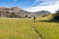 Hiking trail along grass field