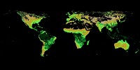 NASA Earth Observations team based on data provided by the MODIS Land Science Team.