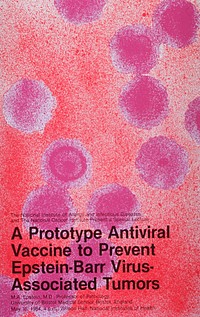 Prototype Antiviral Vaccine to Prevent Epstein-Barr Virus-Associated Tumors. Original public domain image from Flickr