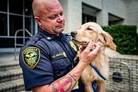 Greenville Police "Chase"Greenville's newest K9 "Chase" is on the case! Originally picked up by Greenville Animal Protective Services as a stray, he was adopted by Greenville Police and will be trained for service as a therapy K9 for the department.