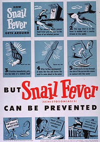 How Snail Fever (Schistosomiasis) Gets Around: But Snail Fever (Schistosomiasis) Can Be Prevented. Original public domain image from Flickr