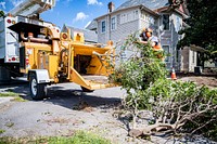 Public Works crew removes overgrown trees and shrubs, Greenville, September 21. Original public domain image from Flickr