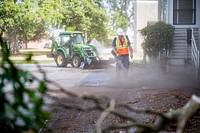 Public Works crew removes overgrown trees and shrubs, Greenville, September 21. Original public domain image from Flickr